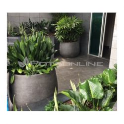 Potsonline - Maximus GRC Bung Planter