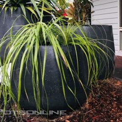 Potsonline - Maximus GRC Bung Planter