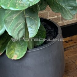 Potsonline - Maximus GRC Bung Planter