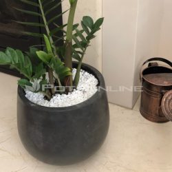 Potsonline - Maximus GRC Bung Planter