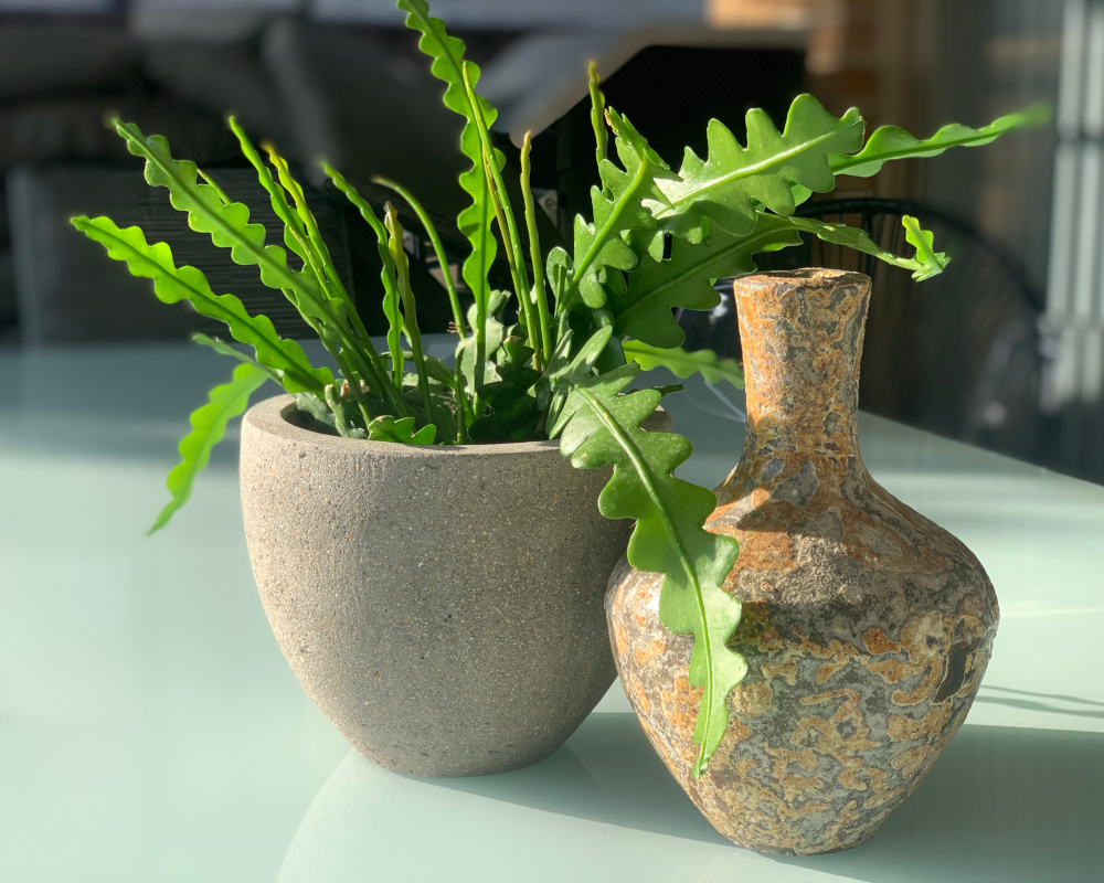 Factory Direct Pots - How to Seal a Pot for Indoor Use